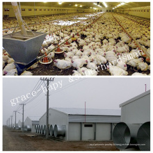 Maison de poulets préfabriqués avec équipement de levage